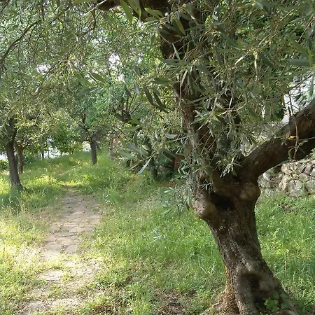 Villa Luxury Easy Living In