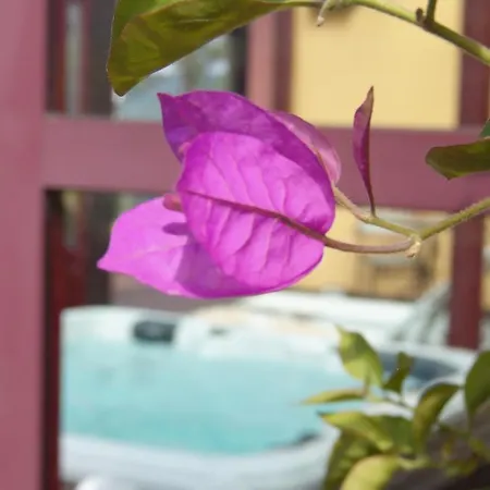 Luxury Easy Living In