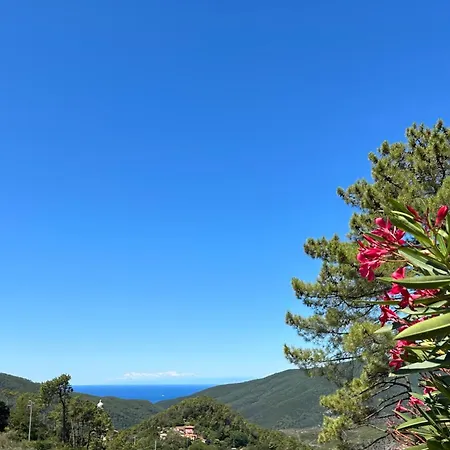 Luxury Easy Living In Villa